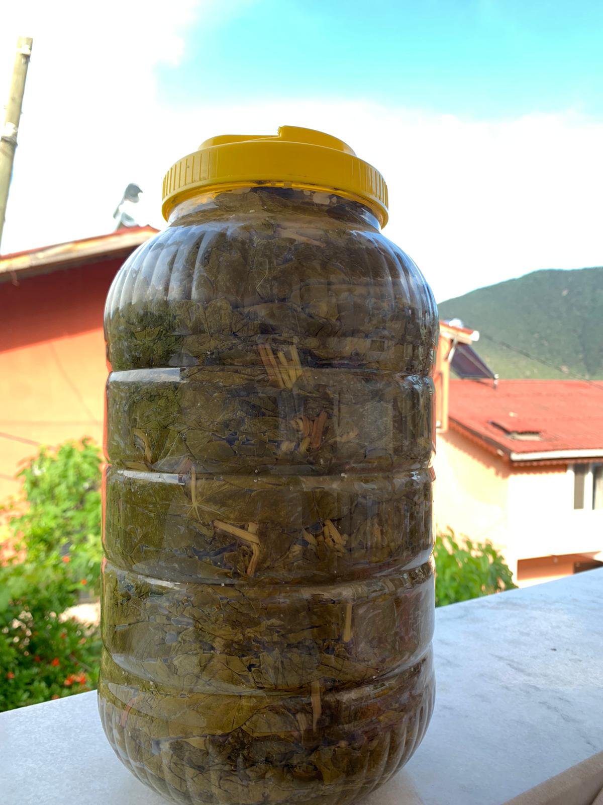 Salamura üzüm yaprağı 5 kg